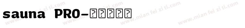 sauna PRO字体转换